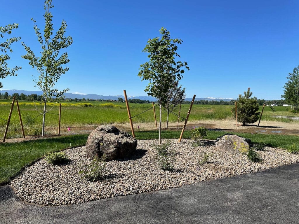 DCFD6F6E-4ED3-4E81-9277-6EF9F783965A